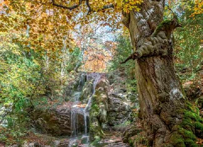 C. D. del Parc Natural de Sant Llorenç del Munt i l'Obac