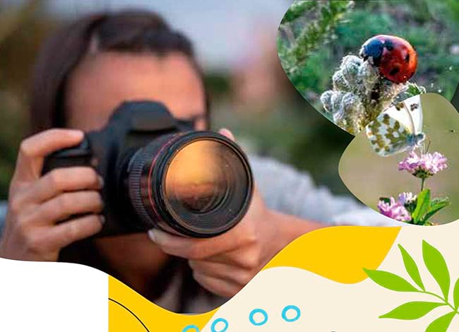 Ajuntament de Sant Vicenç de Castellet