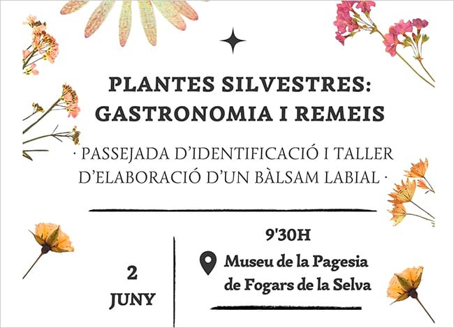 Museu de la Pagesia de Fogars de la Selva