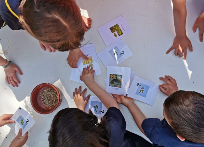Creadoras de bosques