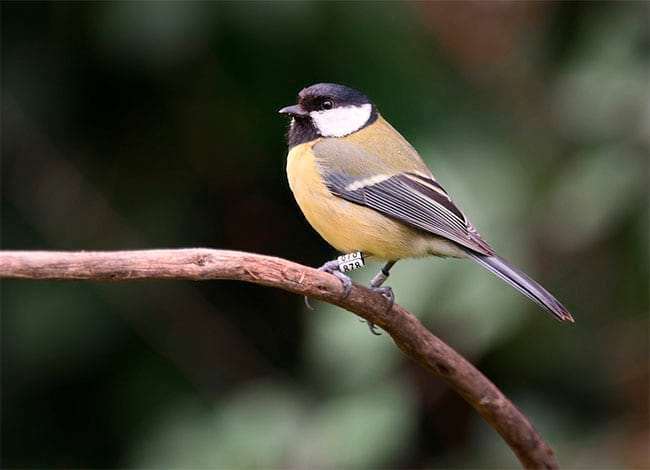 Roger Sanmartí (Photo Logistics)