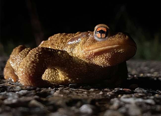 © Andrés García Ródenas