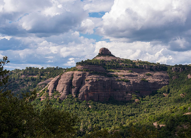 Autor foto: Ricardo Gutiérrez