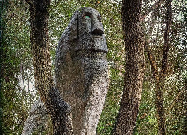 © Xavier Rafanell i Jacas