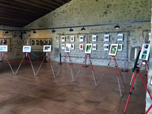 L'exposició. Autor: XPN