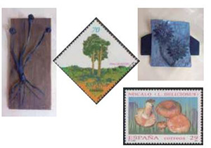 Peces de l'exposició. Autor: XPN