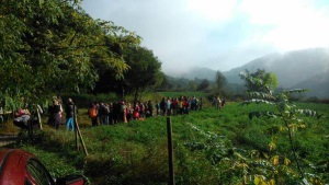 Escolars. Autor: ACER