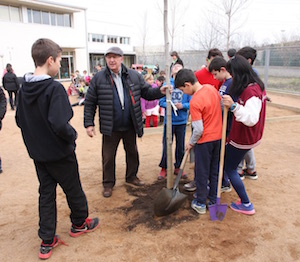 Plantada de nogueres. Autor: XPN