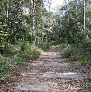 Paisatge de les Guilleries. Autor: XPN