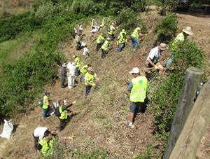 Voluntaris en plena acció. Autor: Institut Àgora