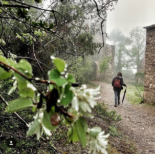 Primer premi. Autor: @mallerenga_