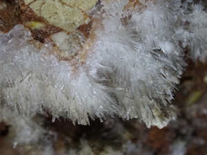 Detall de l'interior. Autor: XPN