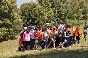 Alumnes realitzant les activitats. Autor: XPN