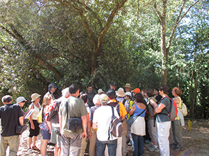 Participants. Autor: ENC