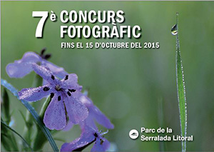 Imatge del concurs. Autor: CPSL