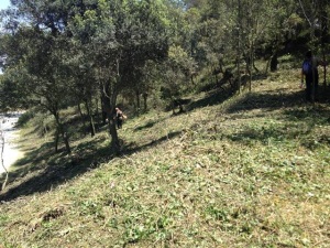 Zona aclarida. Autor: CPSL