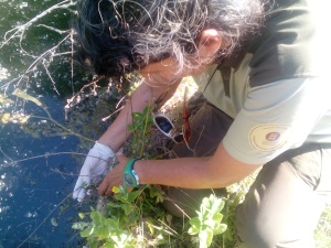 Els guardes del parc col·laboren amb el projecte. Autor: CPSL