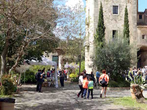 Matinal del 2015. Autor: ACER