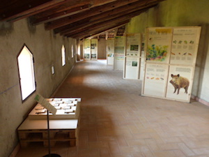 Exposició. Autor: XPN