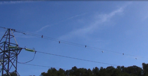 Les mesures. Autor: CPNSC