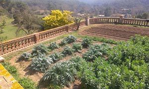 Balustrada arranjada. Autor: CPNSC