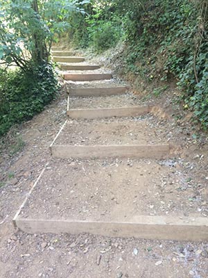 Camí millorat. Autor: CPNSC