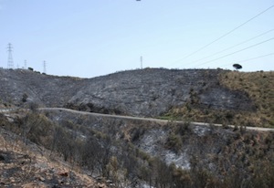 Zona cremada. Autor: CPNSC