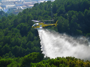 Tasques d'extinció. Autor: CPNSC