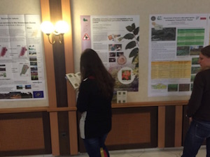 Imatge del pòster presentat al congrés. Font: CPNSC