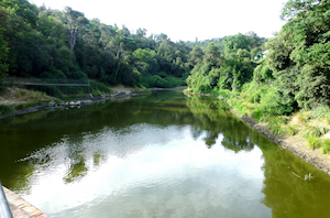 Pantà. Autor: CPNSC