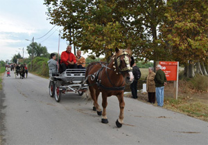 L'aplec de la tartana. Autor: Amics del Prat