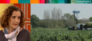 G. Francès al programa. Autor: 'Vespre a La 2' / TV2