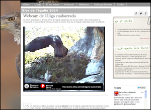 Imatges en directe de la webcam