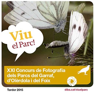 Portada de les bases. Autor: XPN