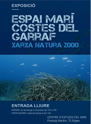 Cartell de la mostra. Autor: CEM