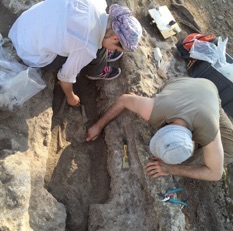 Excavacions. Autor: Núria Molist / MAC