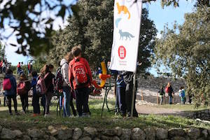 Escolars participants. Autor: ACER