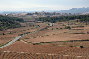 Camps de conreu. Autor: XPN