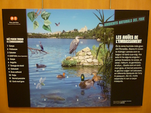 Plafó. Autor: Biblioteca de Santa Margarida i els Monjos