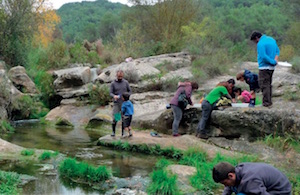 Detall del pòster. Autor: Associació Hàbitats