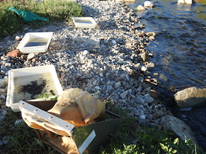 Mostreig de la 4a campanya. Autor: Parc Fluvial del Besòs