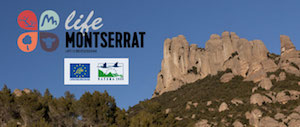 Capçalera del butlletí. Autor: LIFE Montserrat