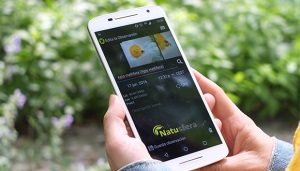 Usuària consultant l'app de Natusfera. Autor: CREAF