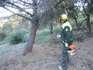 Treballs de prevenció. Autor: ADF Teià