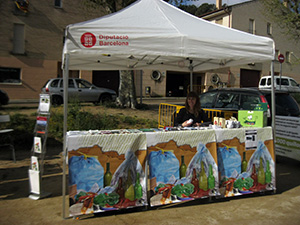 Punt informatiu. Autor: XPN