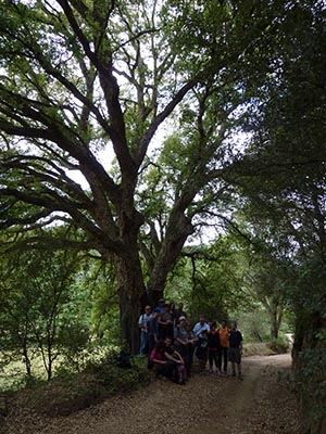 Participants a la passejada. Autor: Escola de Natura del Corredor