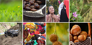 Detall de les imatges premiades