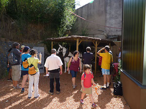 Moment de la passejada. Autor: XPN