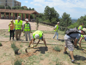 Plantant herbes aromàtiques. Autor: Institut Àgora