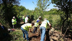 Voluntaris a Guilleries l'any 2015. Autor: Cercle de Voluntaris